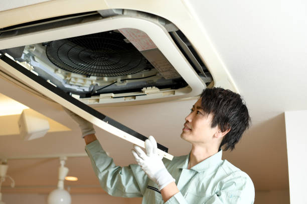 Best Air Vent Cleaning Services  in St Johns, AZ